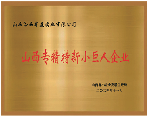 山西專精特新小巨人企業